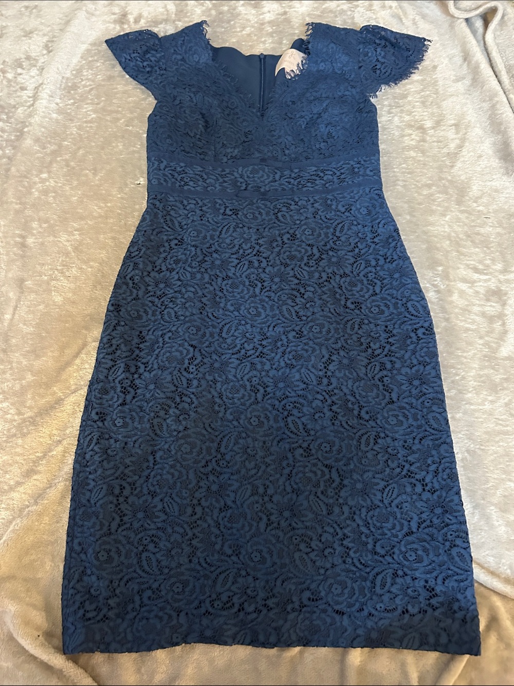 Gal meets glam blue ginger rosebud lace sheath dress